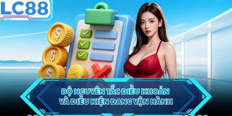 Bộ nguyên tắc điều khoản và điều kiện đang vận hành